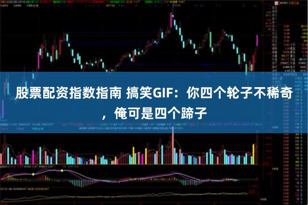 股票配资指数指南 搞笑GIF：你四个轮子不稀奇，俺可是四个蹄子