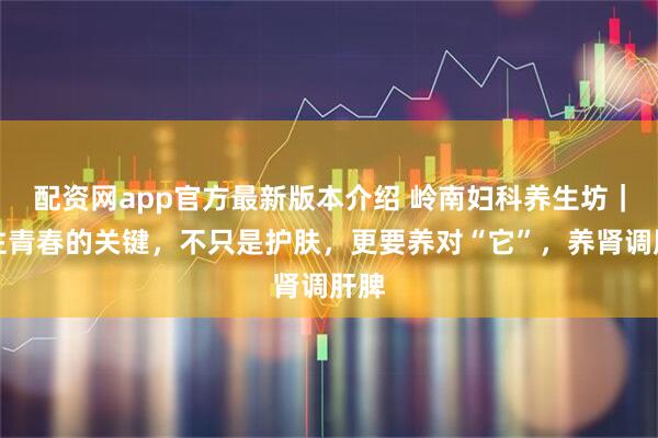 配资网app官方最新版本介绍 岭南妇科养生坊｜留住青春的关键，不只是护肤，更要养对“它”，养肾调肝脾